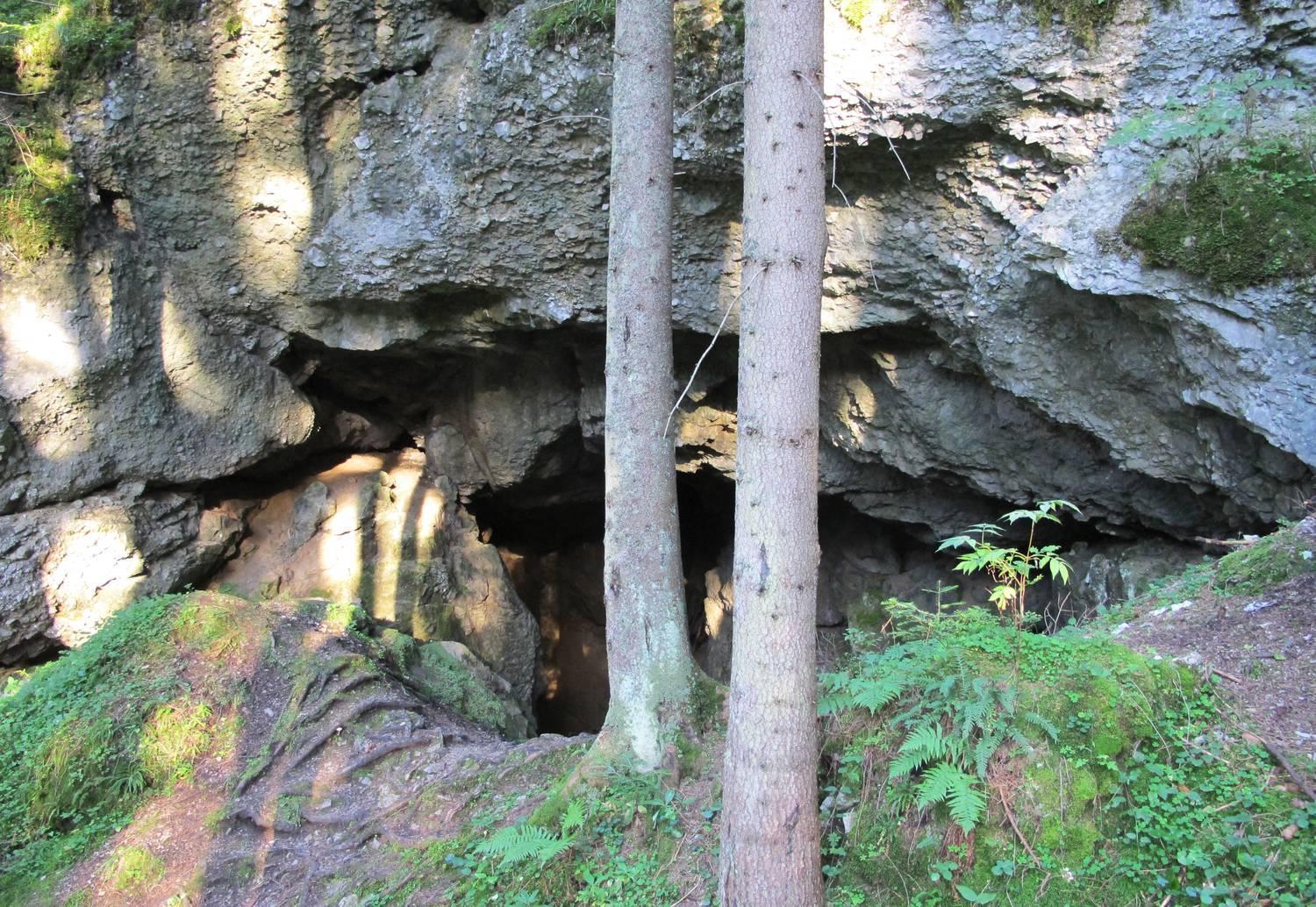Prazdninove Byty U Kamarata Habovka Exterior foto